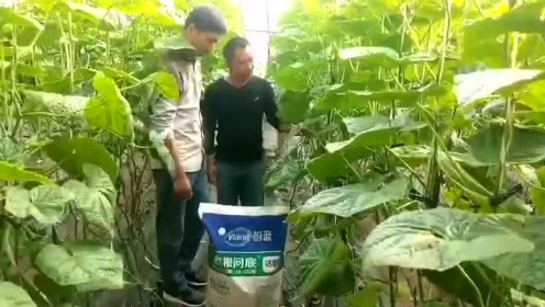 追根问底使用效果 - 腾讯视频