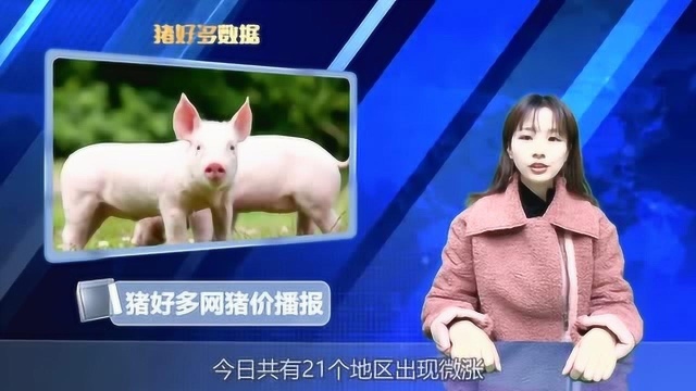 猪好多网猪价行情播报:上周整体涨幅不大,需求端出现好转!