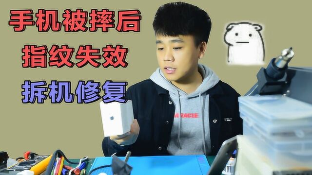 iPhone7摔了一下指纹废了,拆机直接修主板,全过程清晰明了