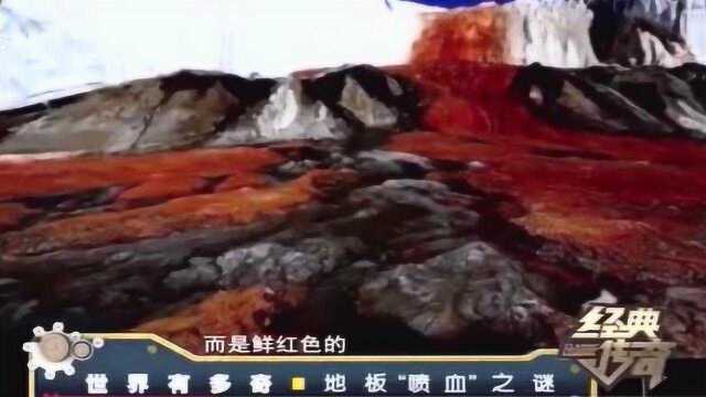 有人拍到诡异的照片 南极冰山流出鲜红“血水” 竟是微生物作怪