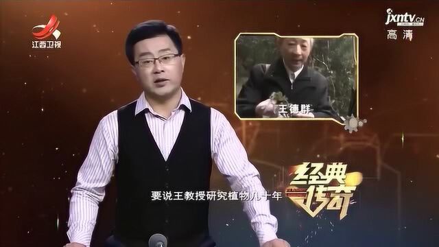 神奇许愿树有独特的外形,许愿后还会发声回应,真相大白令人诧异