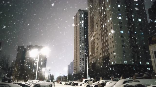 大庆街拍团:夜晚的大雪,让水木华庭美丽极了