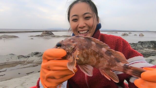 渔妹在海边发现好货,遇到鱼群高兴坏了,石缝里还躲了个石九公王