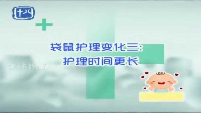 妈咪宝贝:“袋鼠护理”的2.0时代!袋鼠护理有哪些改变?