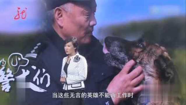 驿站:男子用自己积蓄为退役狗狗建造养老院!