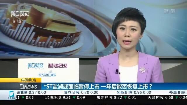 ST盐湖:巨亏将致暂停上市 但一年后争取“回归”丨公司问答