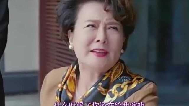 我的恶魔少爷:秦青总算是看明白了,现在开始退出