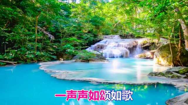 一首情歌《知音》