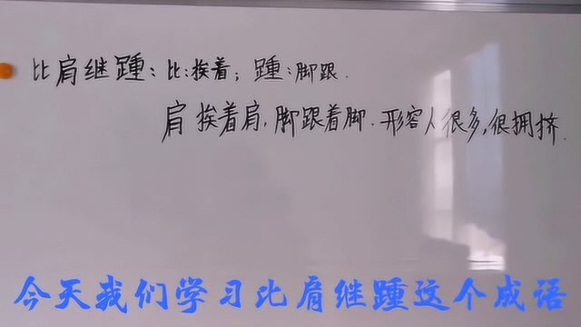 学习比肩继踵