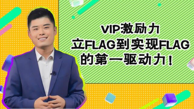 VIP激励力:立FLAG到实现FLAG的第一驱动力!