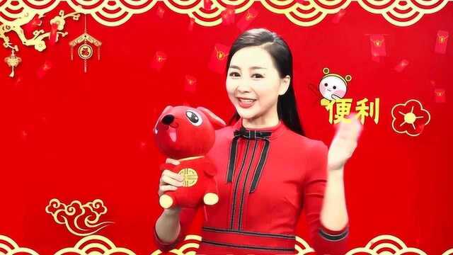 海南公共频道 鹭鸶