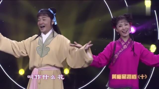 黄梅戏《打猪草》选段演唱:马滢 阿进