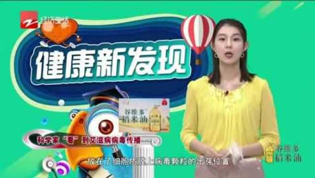 科学家“看”到艾滋病病毒传播,为抗艾药物研发提供了新思路