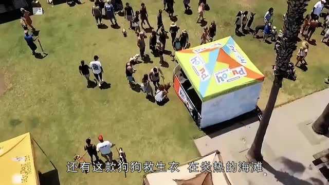 3款狗狗专用神器,第1款自带定位功能,有了它再也不怕狗狗走丢