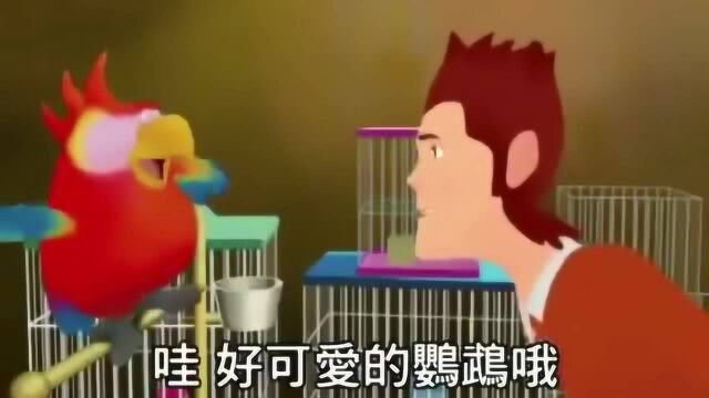 拉脚就会说话的鹦鹉