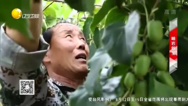 风物辽宁:药山是辽宁是四大名山之一,属东北长白山系千山余脉