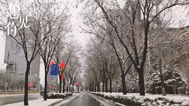 晴天是个适合见面的日子, 而雪天是适合思念的日子 和爱的...