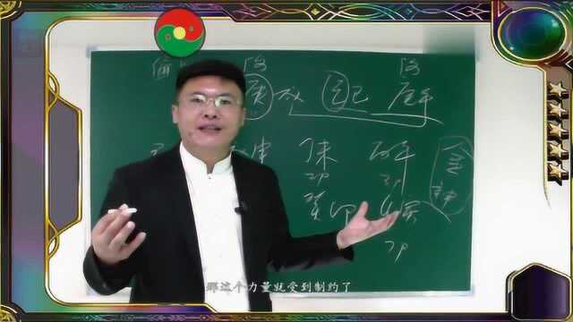 景阳居士 2020 年 四柱讲座之案例分析6 (行)