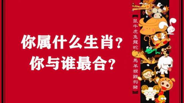 你属什么生肖?你与谁最合?