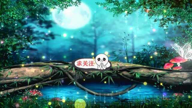 梦幻森林蝴蝶背景