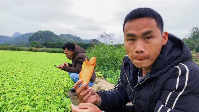 广西壮族特色小吃,每次上街看到都快流口水的感觉,1元一片