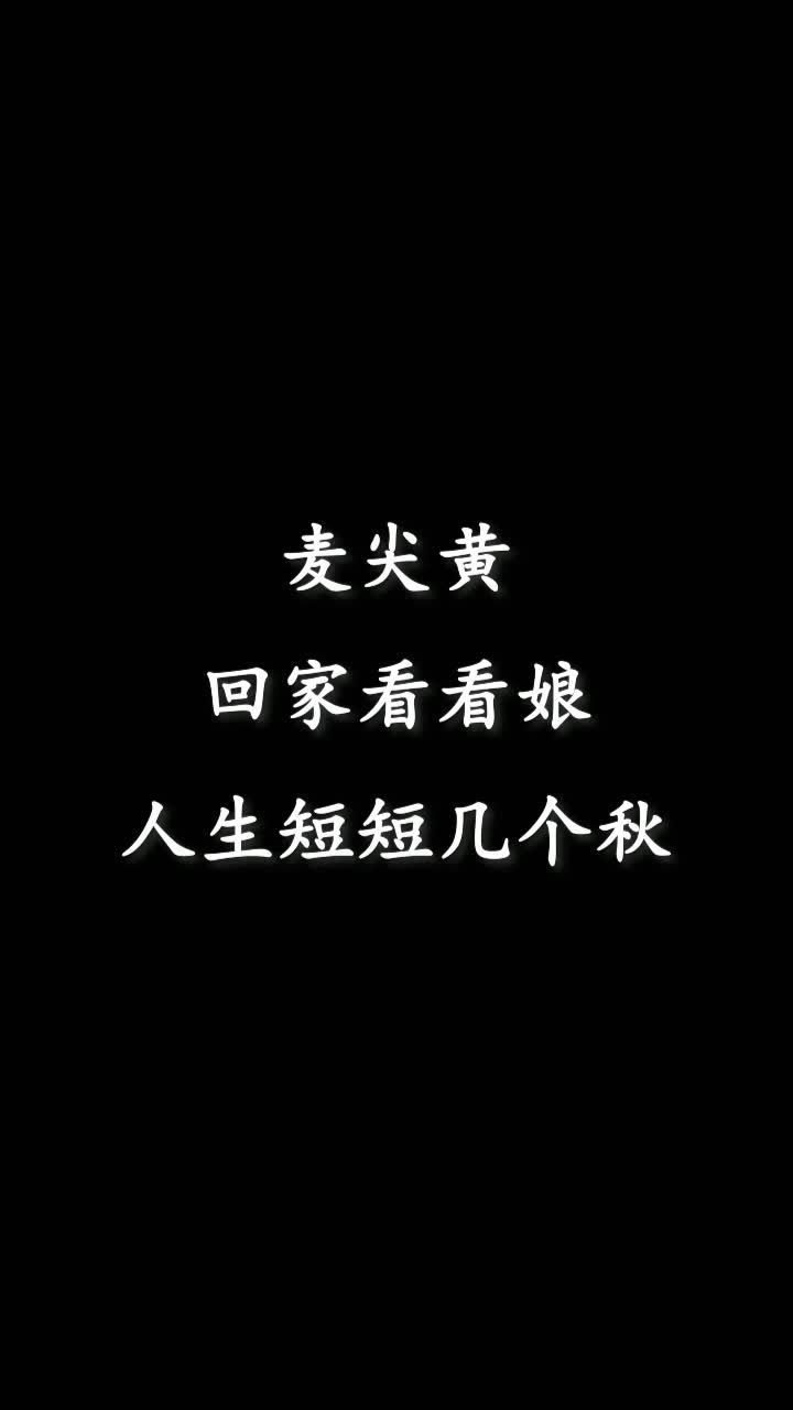 麦尖黄回家看看娘人生短短几个秋