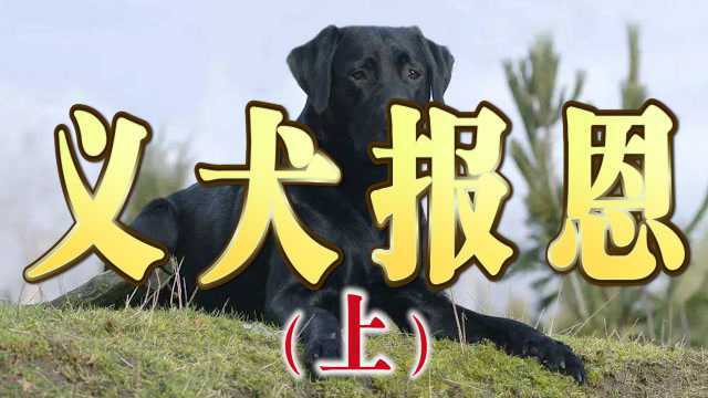 民间故事—《义犬报恩》上