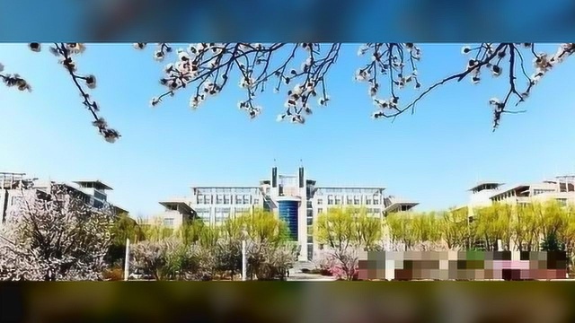 1065位院士本科就读院校分析,这所985大学进前十.网友:意外