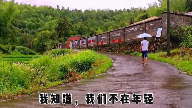 农村生活日志4,今天下雨,看看农村的雨天