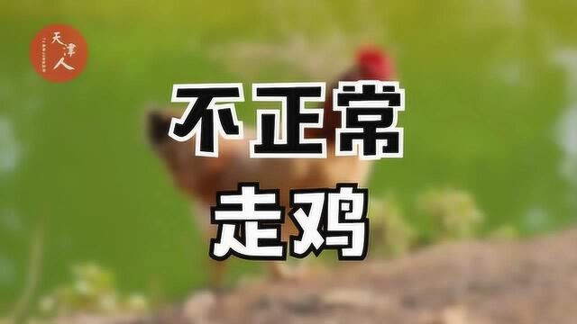 天津人,奏耐说天津话!