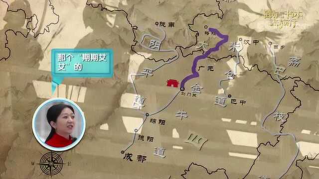 易守难攻的剑门关,难道从未被攻破过吗?