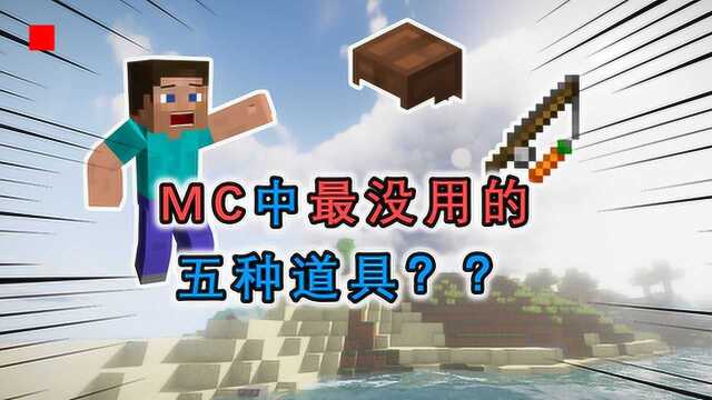 盘点MC最没用的5种道具,皮革套上榜,第1名毫无用处