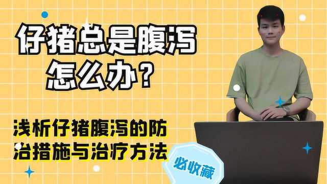 仔猪频繁腹泻怎么办?浅析仔猪腹泻的防治措施与治疗方法