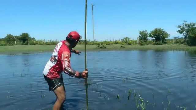 钓鱼:湖里大鱼真多,一个不留神鱼竿就被拖走了