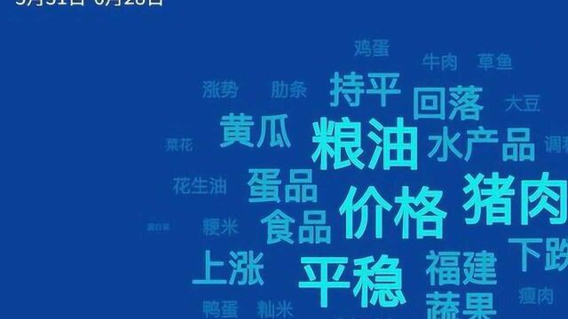 6月福建26种主要食品价格17涨9跌