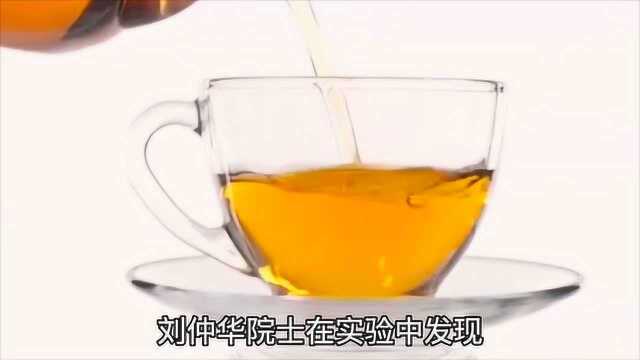 黑茶对身体健康的4大好处