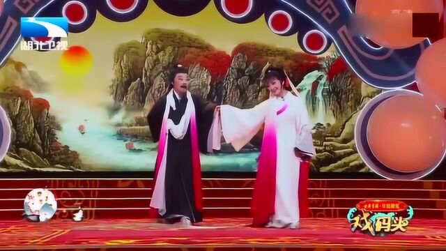 张辉主演戏曲《苏东坡》,演绎仕途失意下仍豁达洒脱的东坡居士!