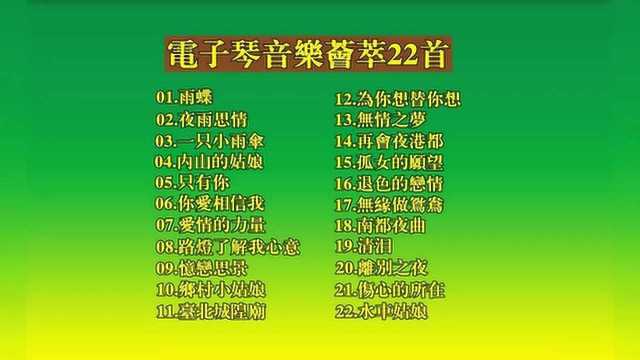 《电子琴音乐荟萃22首》,无损音质,值得收藏!