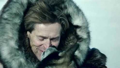 5分钟看完电影《多哥》，雪橇犬传奇的一生，极地二哈智商爆表！