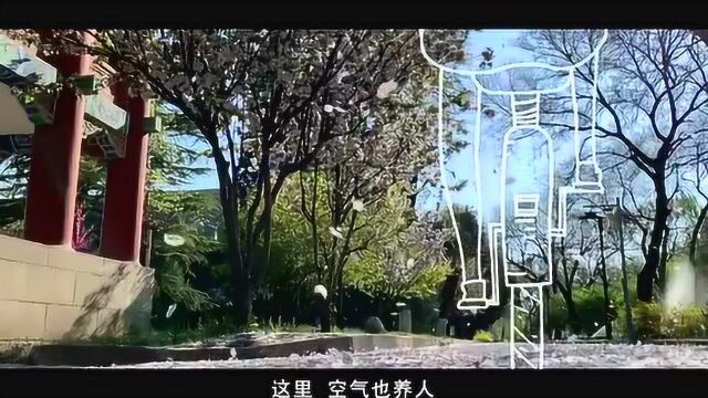 北京大学2020宣传片