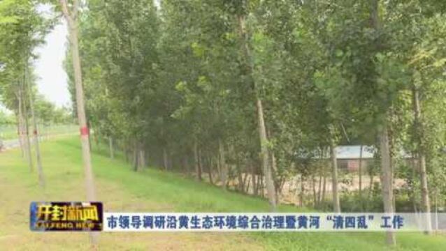 市领导调研沿黄生态环境综合治理暨黄河清四乱工作