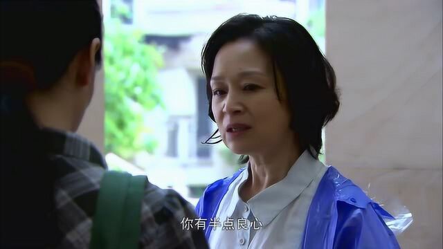 钟点工:小员工一来,就撬大姐的工作,大姐怒了要报复