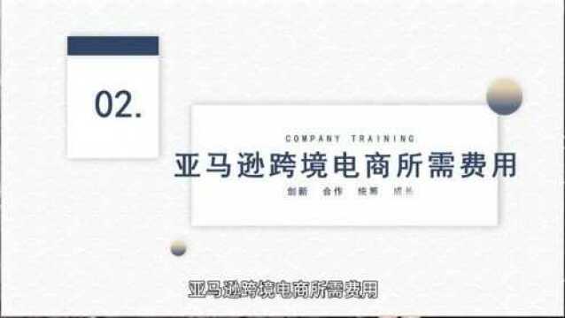 亚马逊无货源模式好不好做?不懂英语能做吗?