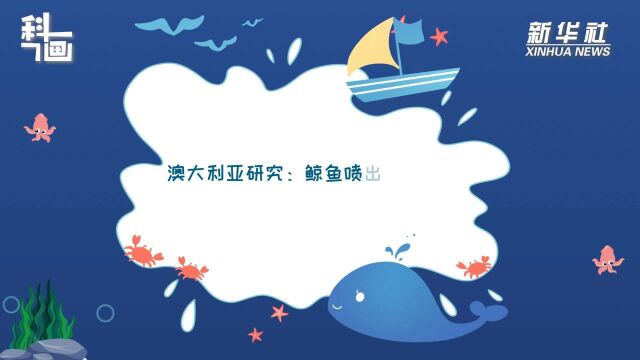 科画丨澳大利亚研究:鲸鱼喷出水柱成分或可显示健康状况