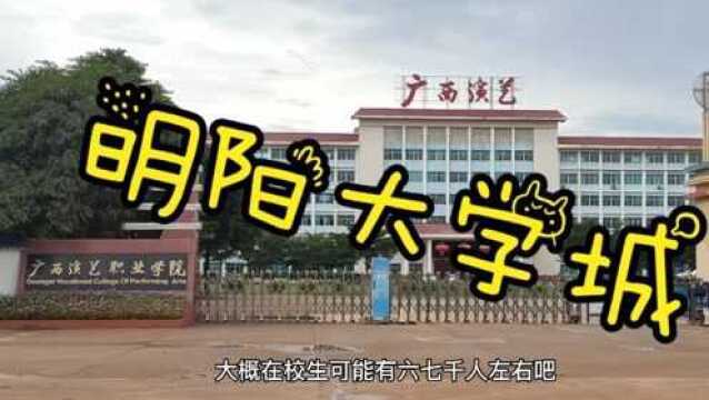 南宁有四个大学城,位于明阳工业区的大学城你知多少?