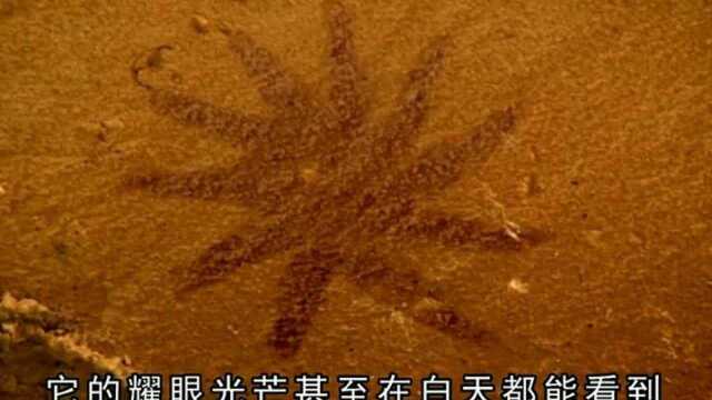 这幅壁画记录了一个及其罕见的事件,创造出超引力的世界