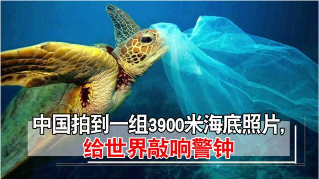 西方呼吁停手?中国拍到一组3900米海底照片,给世界敲响警钟