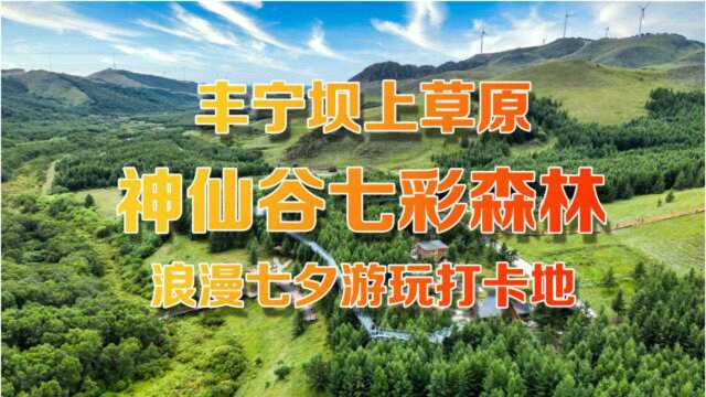 丰宁坝上草原神仙谷七彩森林 浪漫七夕游玩打卡地