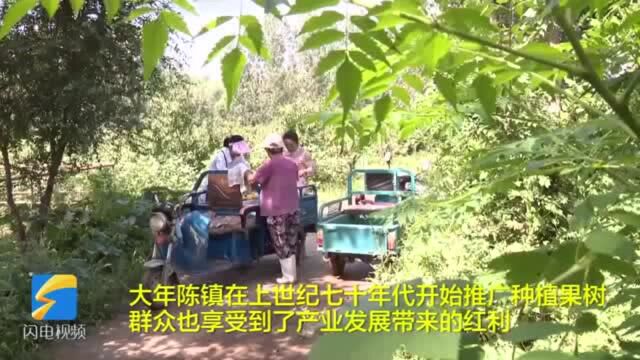 48秒丨滨州市“惠民蜜桃”新品种 产销两旺助增收