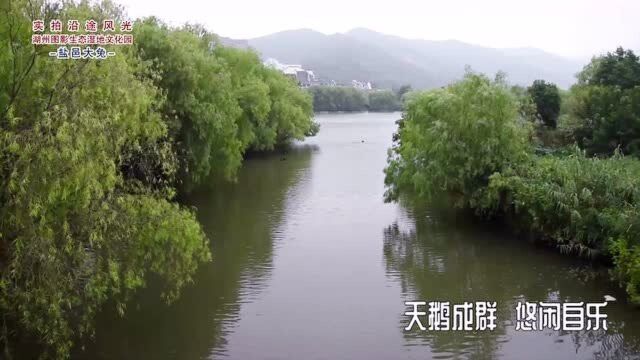 实拍沿途风光之湖州图影生态湿地文化园